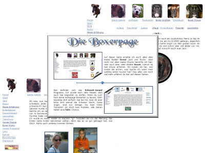 Screenshot der Webprsenz Die Boxerpage