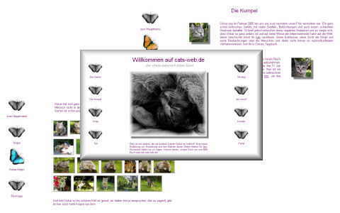 Screenshot der Webprsenz cats-web