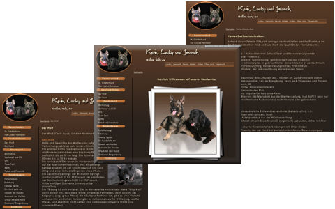 Screenshot der Webprsenz Kevin-Lucky