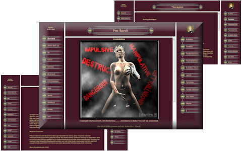 Screenshot der Webprsenz Pro Bordi