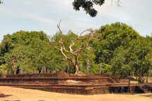 zum Reisebericht Sri Lanka und Malediven:Polonnaruwa