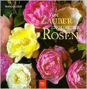 Der Link fhrt Dich direkt zum Angebot auf Amazon (bezahlter Link).
