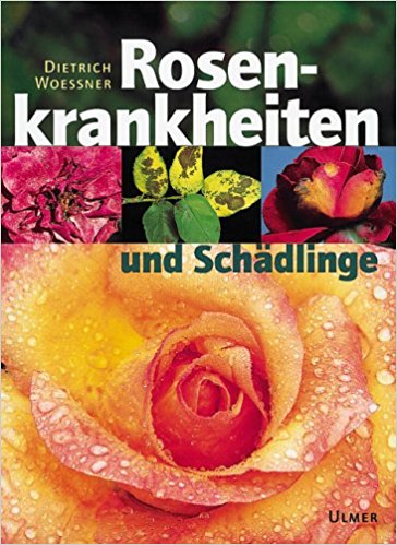 Der Link fhrt Dich direkt zum Angebot auf Amazon (bezahlter Link).
