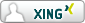 Xing Icon
