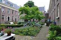 de Star Hofjes