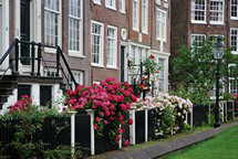 Begijnhof