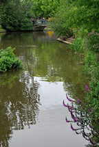 Hortus Botanicus