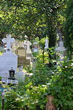 Friedhof Belu (Cimitrul Bellu)
