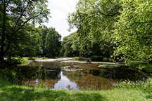 Schloss Pillnitz, Englischer Teich