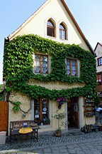 Loschwitz, Keramikshop