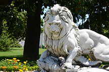 Park