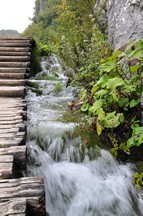 Plitwizer Seen