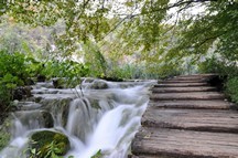Plitwizer Seen