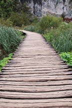 Plitwizer Seen