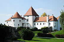 Stari Grad (Burg)