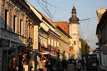 Mestni Grad (Stadtburg)
