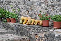 Pocitelj