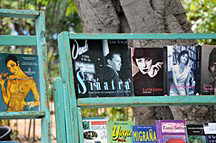 Plaza de Armas, B�chermarkt