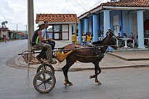 Vinales