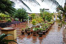 Museo de la Arquitectura Colonial