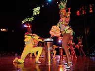 Tropicana Show