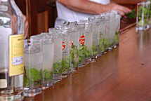 La Bodeguita del Medio