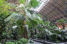 Jardines Tropicales de Atocha