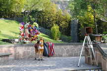 Park des Tepeyac Hgels