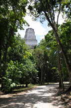 Rückseite Tempel 3 (Tempel des Jaguarpriesters) 
