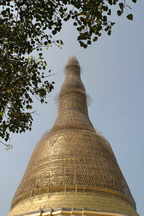 Shwemawdaw Pagode