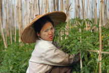 Inle-See