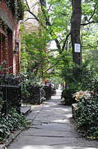 Willow Street