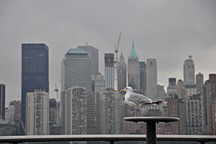 Skyline Manhattan, Mwe