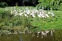 Rotterdam, Rotterdam Zoo