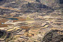 Colca Canyon, Nhe Maca, Terrassenfelder