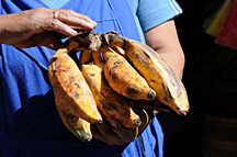 Bananenverkuferin
