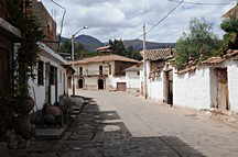 Quinua