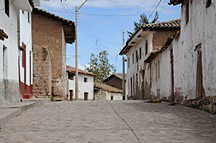 Quinua