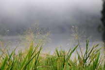 Lago Tres Chimbadas, Morgendunst