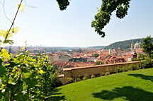 St. Wenzels-Weingut (Svatovaclavska Vinice), Blick auf Prag