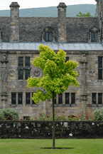 Falkland Palace