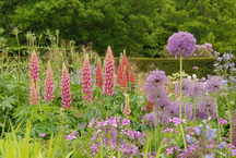 Glamis Castle