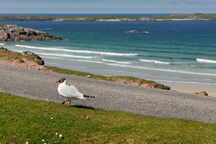 Schottland