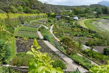 Inverewe Garden