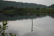 in der Nhe von Oban