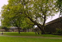 Stirling Castle