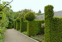Dunbar's Close Garden
