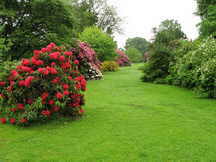 Scone Palace