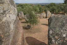 Cromleque de Almendras