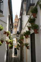 Calleja de las Flores